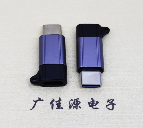 石排镇Type-C母转Type-C公 USB3.1 PD100W快冲接口